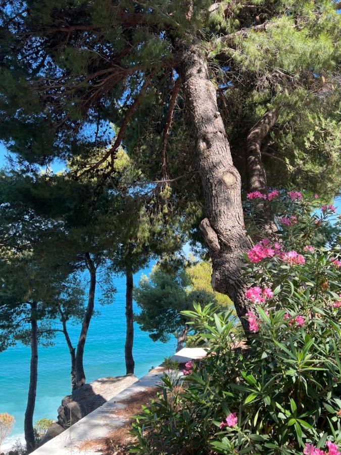 Appartement Sunny Breeze